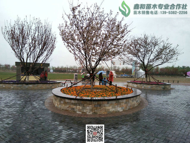 \"IMG20160416102142\"